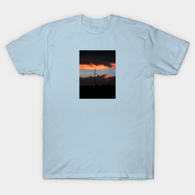 Baby alligator cloud T-Shirt by littlebird